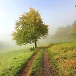 Romantic And Cosy With View In Eifel Region Апартаменты Мерфельд