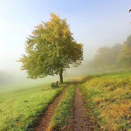 Romantic And Cosy With View In Eifel Region Appartement Meerfeld