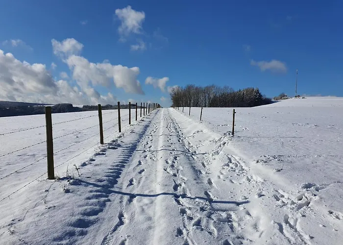 Romantic And Cosy With View In Eifel Region Apartment