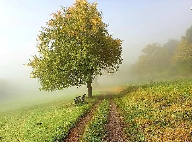 Romantic And Cosy With View In Eifel Region Apartment Meerfeld