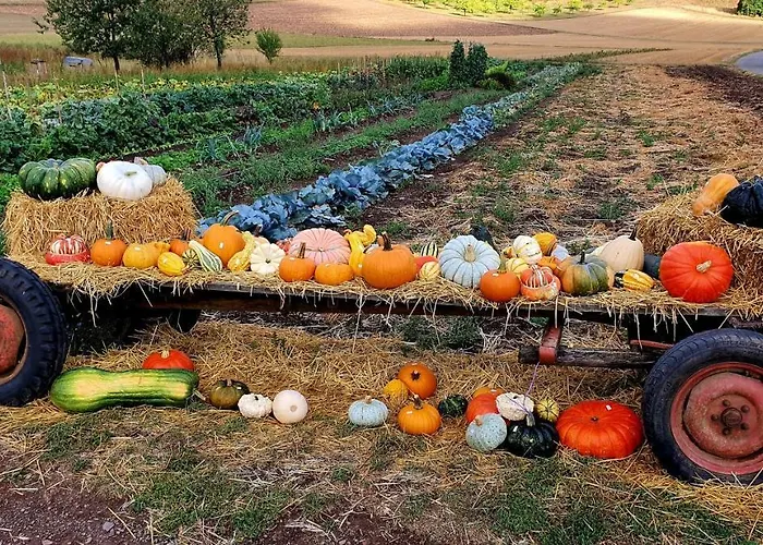 Romantic And Cosy With View In Eifel Region Apartament