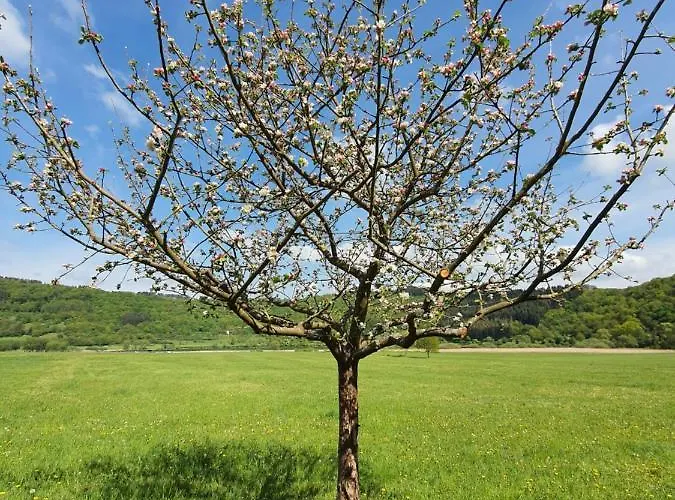 Apartament Romantic And Cosy With View In Eifel Region